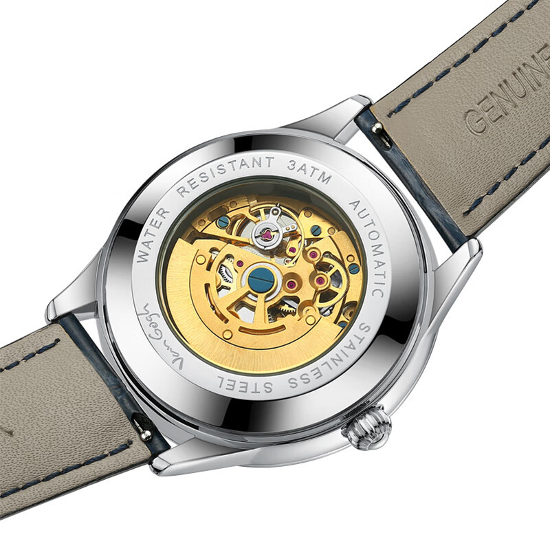 VanGogh Men's Geneva Series Art Automatic Mechanical Watch