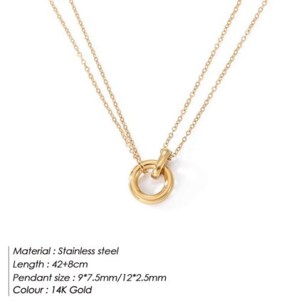 Double ring clavicle chain - Image 7